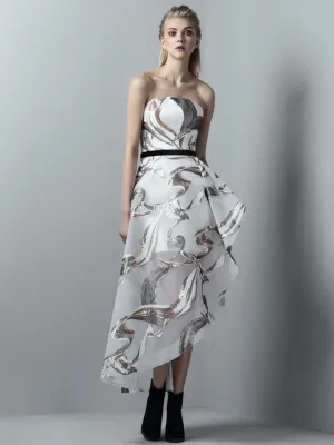 Asymmetric Dress